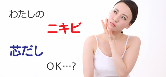 芯だしをするべきか、否か。それが問題だ