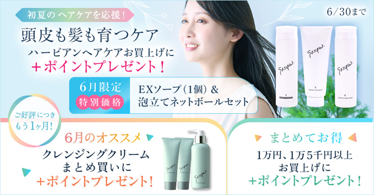今月のキャンペーン