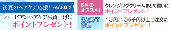今月のキャンペーン