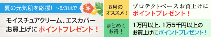 今月のキャンペーン