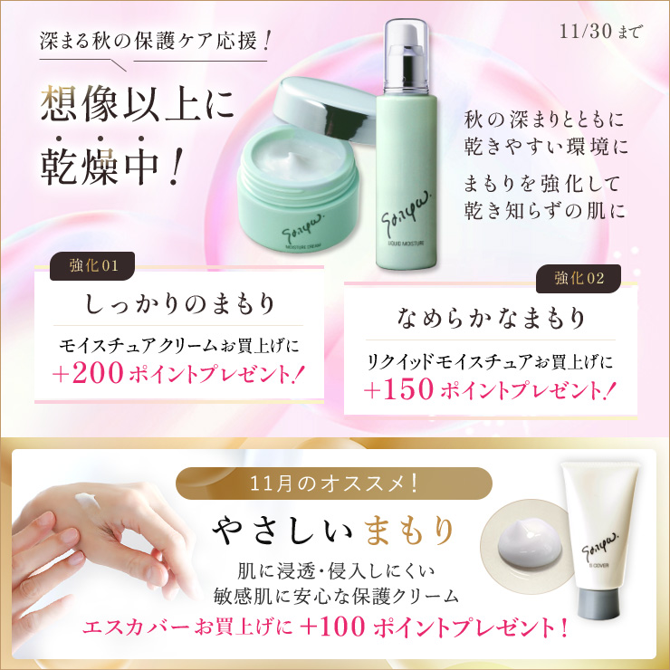 今月のキャンペーン