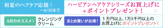 今月のキャンペーン