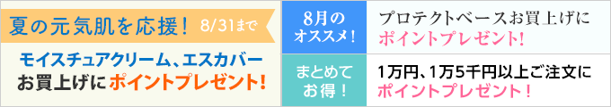 今月のキャンペーン