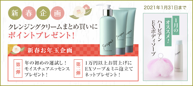 今月のキャンペーン