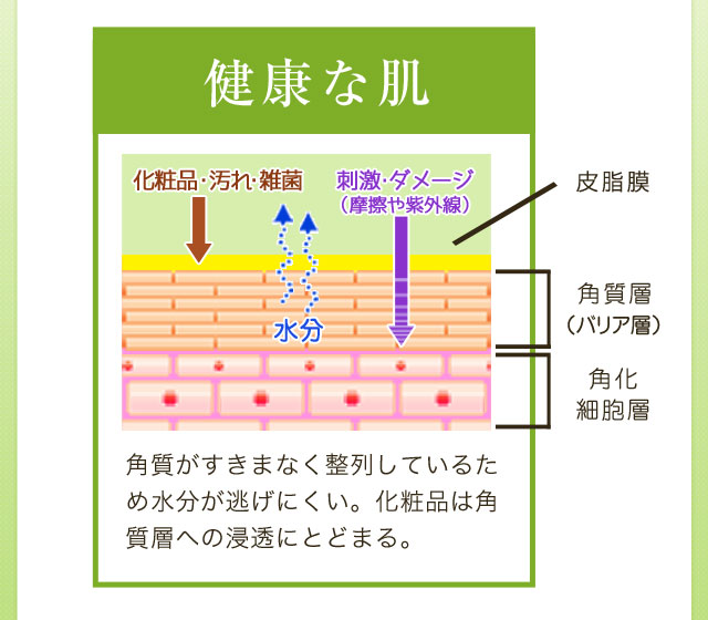 敏感肌脱出プログラム | サッフォ化粧品株式会社