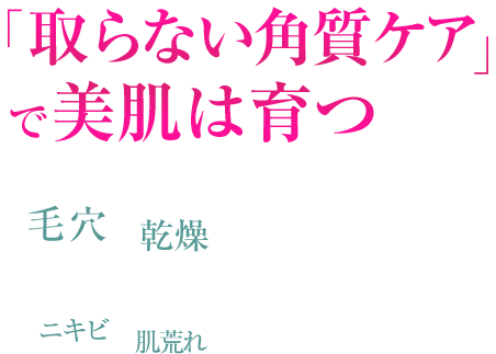 スキンケアモニター サッフォ化粧品株式会社