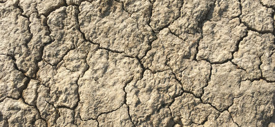 イメージ画像：乾いた大地は痩せた肌を思わせる